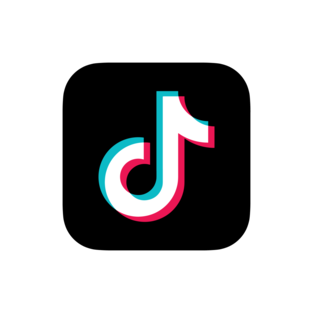 tl_files/monkey/Fotostefangladu.com/tiktok_01.png